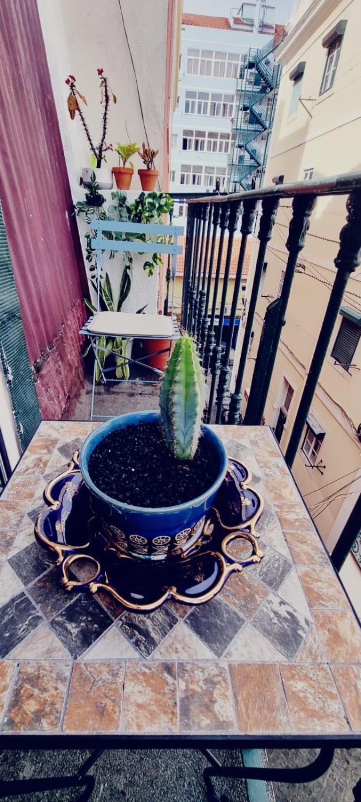 Charming Central Apartment To Rent Lizbona Zewnętrze zdjęcie
